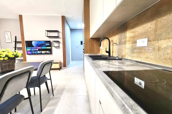 Penthouse (panoramic top floor) for rent in Tirana 2+1, Furnished