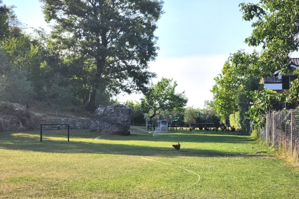 Shtepi ne shitje Vila Luksoze ne Tirane, 6+1, Mobilimi E mobiluar, Pagesa 1,500,000  Euro.