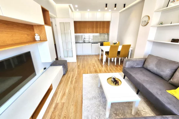 House for Rent 1+1 in Tirana - 55,000 Leke