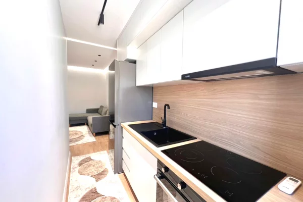 House for Rent 1+1 in Tirana - 55,000 Leke