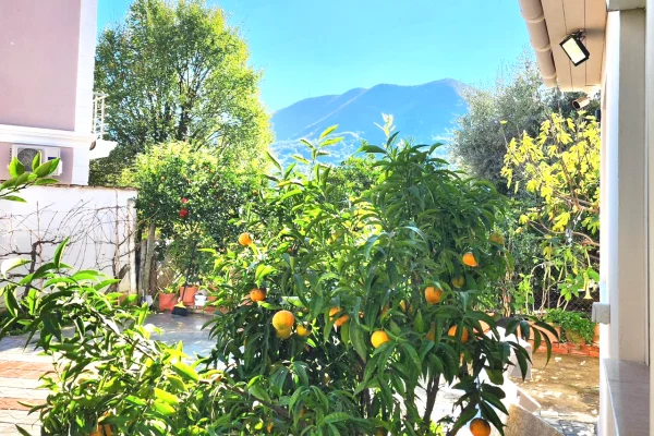 House for Rent 1+1 in Tirana - 450 Euro