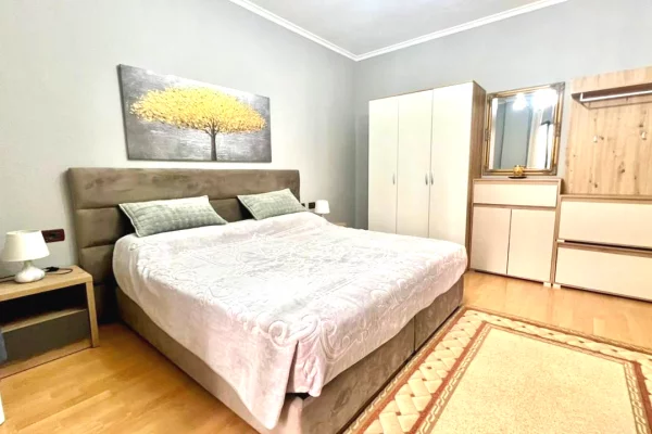 Shtepi me qera 1+1 ne Tirane - 600 Euro