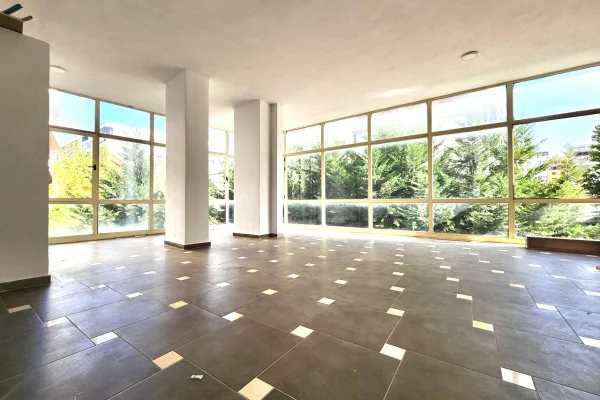Ambient biznesi me qera 3+1 ne Tirane - 350 Euro
