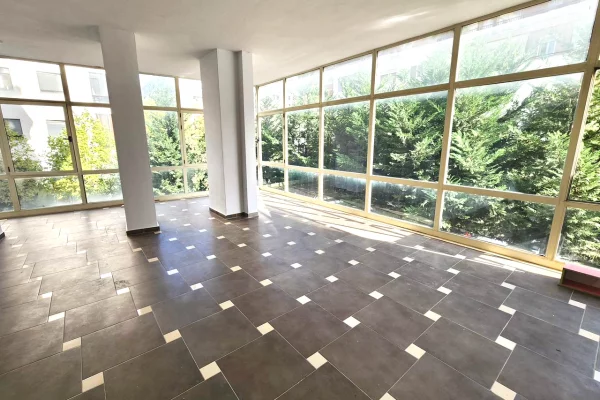 Ambient biznesi me qera 3+1 ne Tirane - 350 Euro