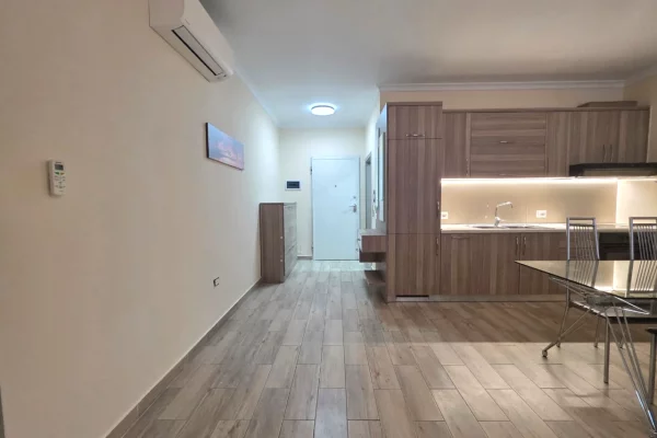 Shtepi me qera Apartament ne Tirane, 1+1, Mobilimi E mobiluar, Pagesa 54,000  Euro.