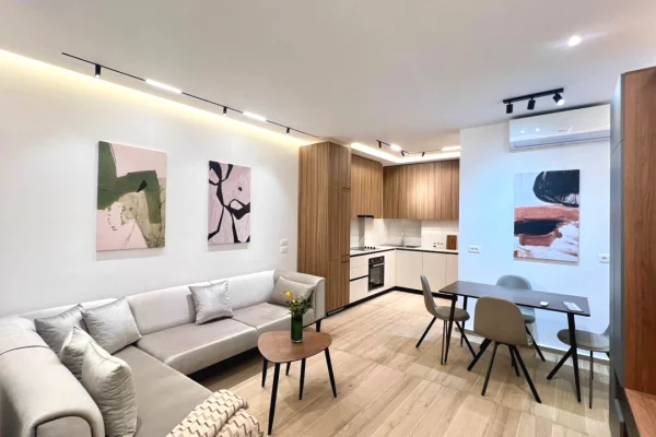 Apartment for rent in Tirana 1+1, Furnished