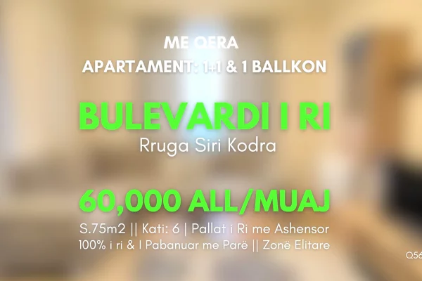 Shtepi me qera 1+1 ne Tirane - 60,000 Leke