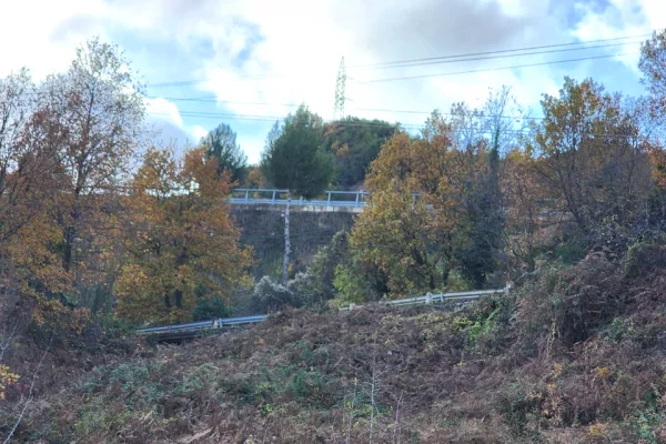 🌍 SHITET: Toke Are 604 m2 Brenda ne Fshat me Pamje nga Pylli & Lumi📍Ne Fshatin IBE  39.200Euro 🏕