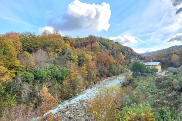 🌍 SHITET: Toke Are 604 m2 Brenda ne Fshat me Pamje nga Pylli & Lumi📍Ne Fshatin IBE  39.200Euro 🏕