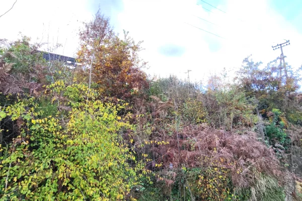 Truall ose Toke ne Tirane - 39,200 Euro