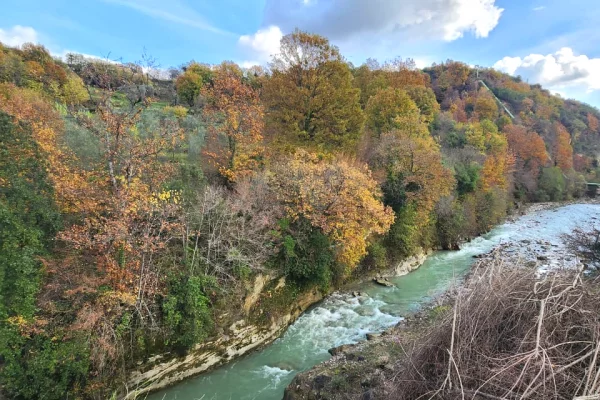 🌍 SHITET: Toke Are 604 m2 Brenda ne Fshat me Pamje nga Pylli & Lumi📍Ne Fshatin IBE  39.200Euro 🏕