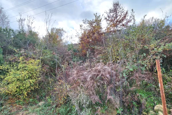 Truall ose Toke ne Tirane - 39,200 Euro