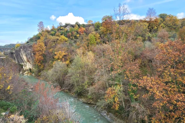 Truall ose Toke ne Tirane - 39,200 Euro