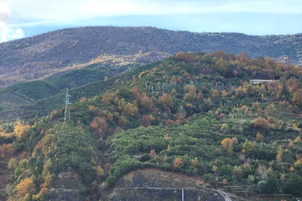 Truall ose Toke ne Tirane - 250,000 Euro