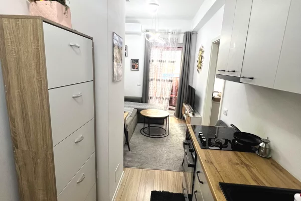 Apartment for rent in Tirana 1+1, Furnished