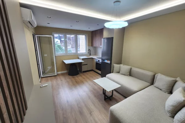 Apartment for rent in Tirana 1+1, Furnished