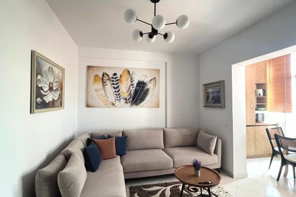 Shtepi me qera 1+1 ne Tirane - 55,000 Leke