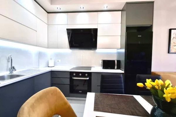 Shtepi me qera Apartament ne Tirane, 1+1, Mobilimi E mobiluar, Pagesa 800  Euro.