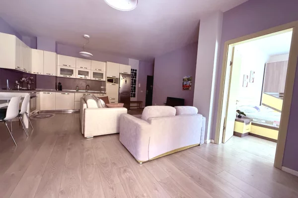 Apartment for rent in Tirana 1+1, Furnished