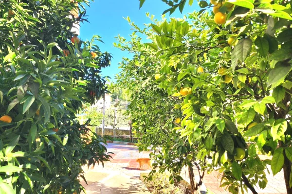 Shtepi me qera Shtepi Private ne Tirane, 1+1, Mobilimi E mobiluar, Pagesa 400  Euro.