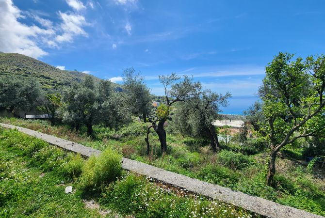 Truall ose Toke  ne Tirane - 129,000 Euro