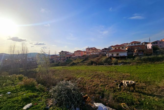 Truall ose Toke  ne Tirane - 520,000 Euro