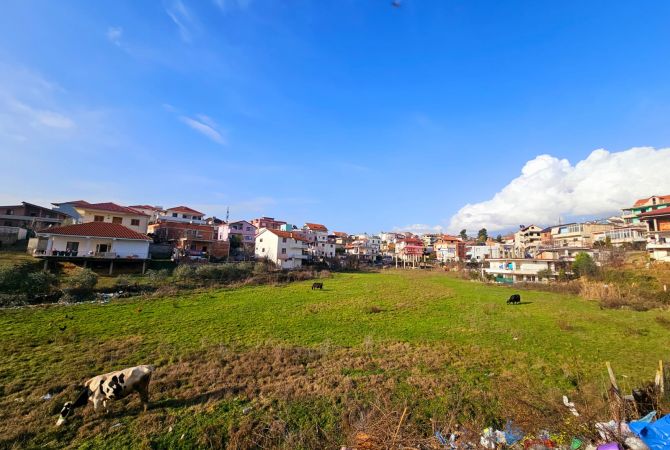 Truall ose Toke  ne Tirane - 520,000 Euro