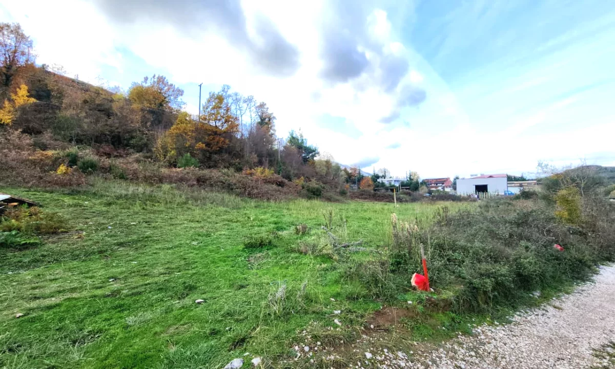 SHITET: Toke Are 5000 m2 Me Pamje nga Autostrada Tirane Elbasan📍Ne Fshatin IBE  250,000Euro 🏕