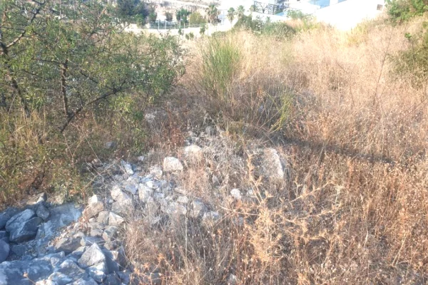 Truall ose Toke  ne Tirane - 129,000 Euro