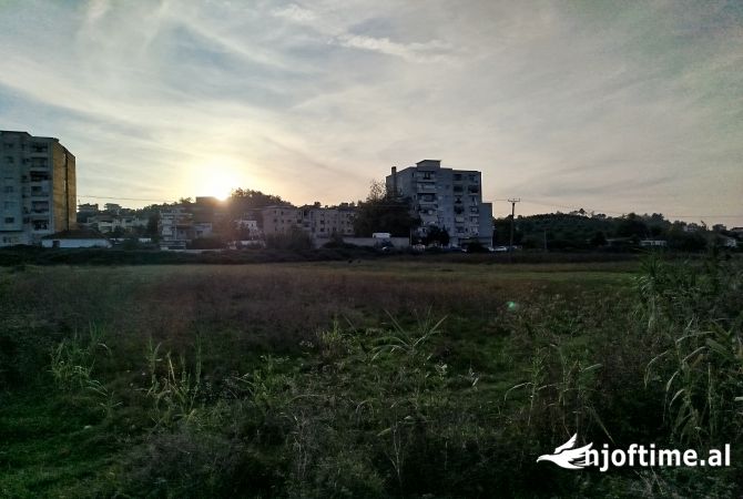 Jepet 4500 m toke me qera