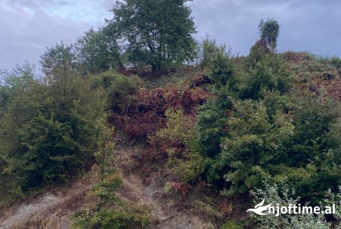 Terreno in vendita  a Elbasan - 220,000 Euro