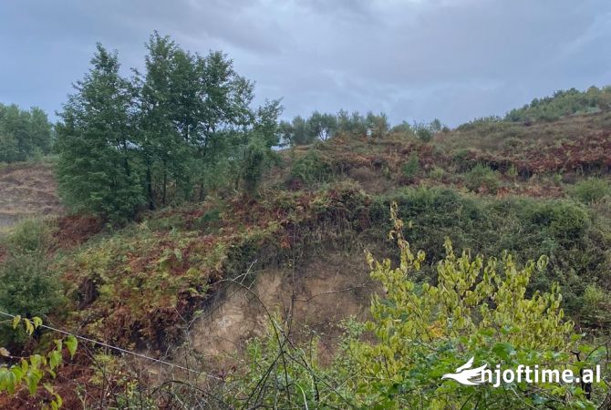 Terreno in vendita  a Elbasan - 220,000 Euro