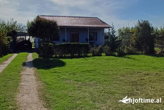 Truall ose Toke  ne Lushnje - 50,000 Euro