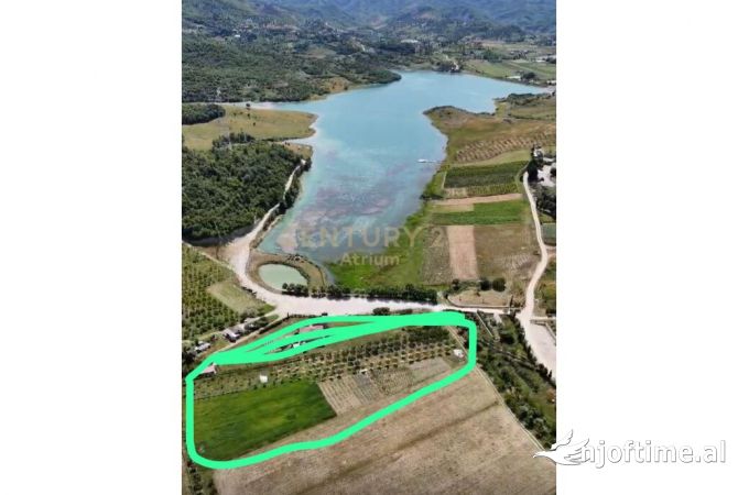 Truall ose Toke ne Tirane - 278,000 Euro