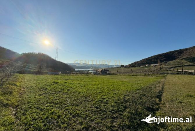 Truall ose Toke ne Tirane - 278,000 Euro
