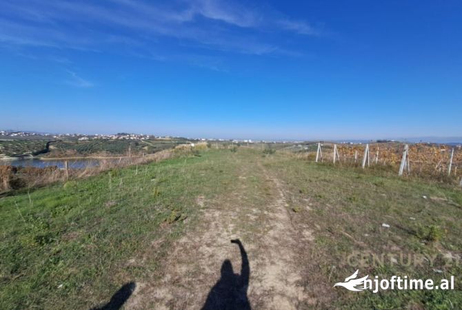 TOKE PER SHITJE ME PAMJE DETI DHE LIQENI!!!