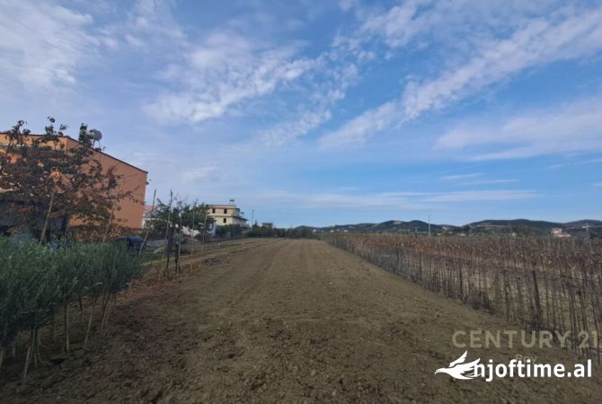 Terreno in vendita  a Kavaja - 200,000 Euro
