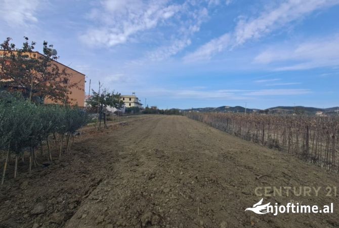 Terreno in vendita  a Kavaja - 200,000 Euro