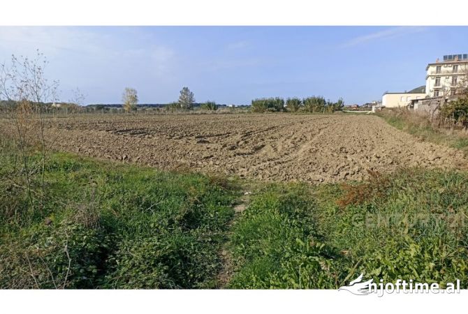 Terreno in vendita  a Kavaja - 315,000 Euro