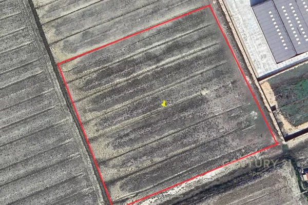 Truall ose Toke ne Durres - 1,100,000 Euro