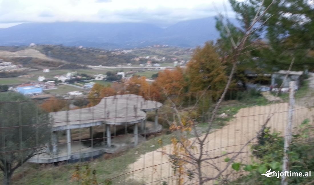 Foto 6