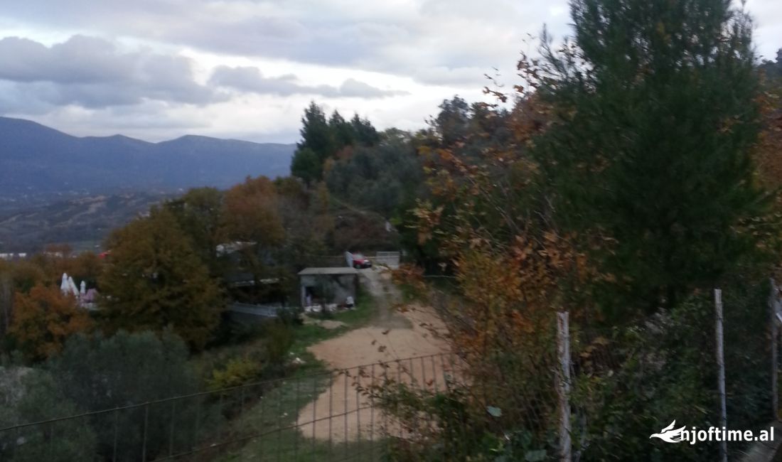 Foto 7