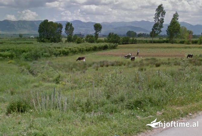 Truall ose Toke  ne Korce - 50,000 Euro