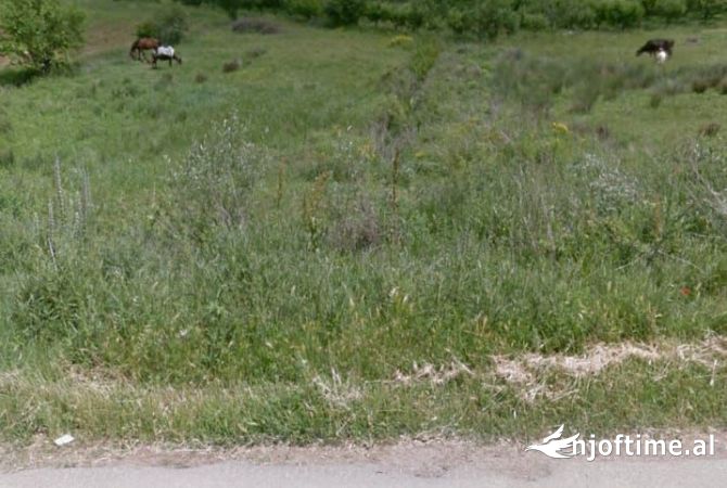 Truall ose Toke  ne Korce - 50,000 Euro