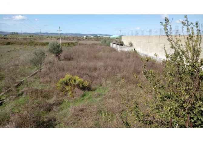 Business Property in Sale 4+1 in Lushnje - 180,000 Euro