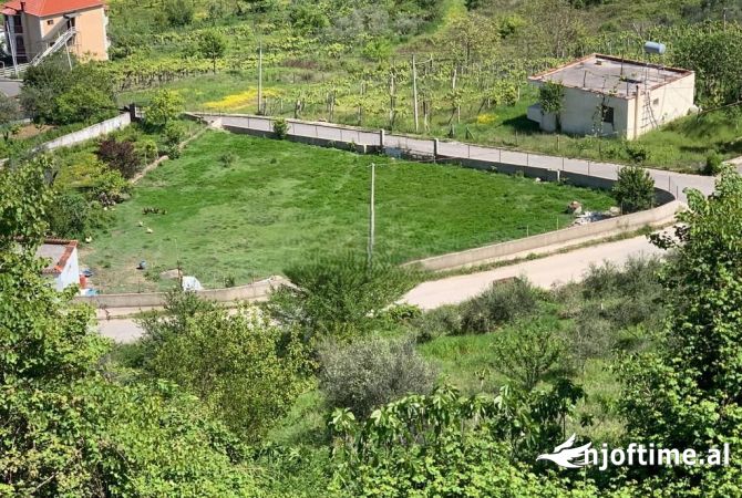 Truall ose Toke ne Tirane - 56,000 Euro