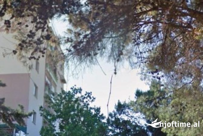 Ambient biznesi ne shitje 4+1 ne Tirane - 20,000 Euro