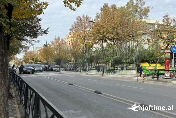 Ambient biznesi me qera 1+1 ne Tirane - 250 Euro