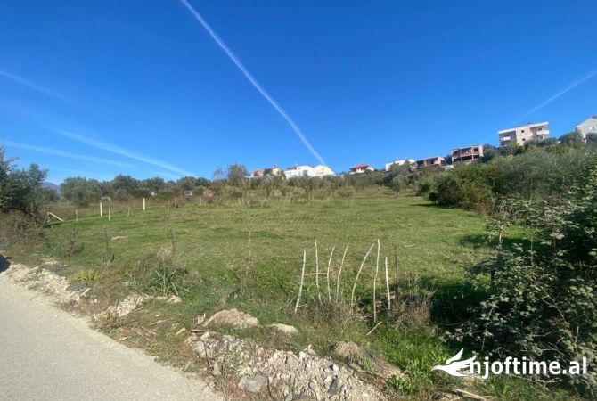 Truall ose Toke  ne Tirane - 195,000 Euro