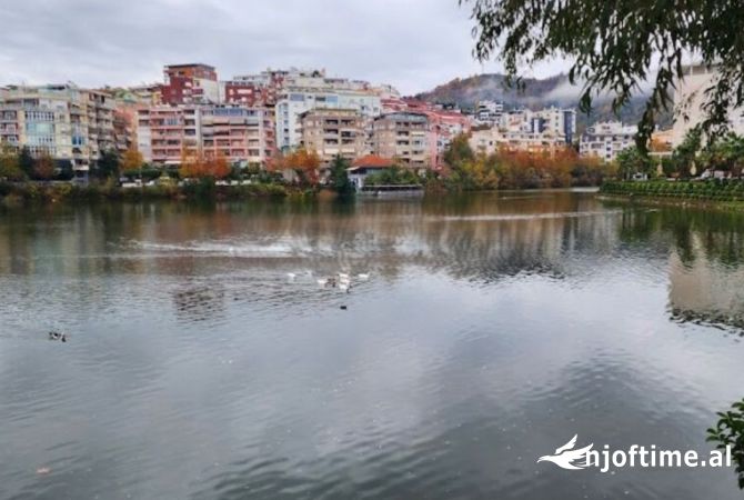 Shtepi me qera 2+1 ne Tirane - 600 Euro